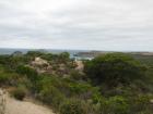 thumbs/IMG_3145.jpg