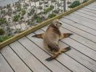 thumbs/IMG_3173.jpg