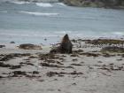 thumbs/IMG_3192.jpg