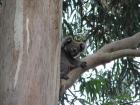 thumbs/IMG_3225.jpg