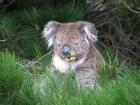 thumbs/IMG_3249.jpg