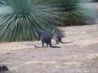 thumbs/IMG_3320.jpg