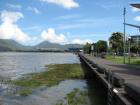 thumbs/IMG_2067.jpg