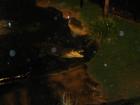 thumbs/IMG_0723.jpg