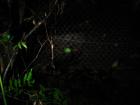 thumbs/IMG_0729.jpg