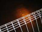 thumbs/IMG_0732.jpg