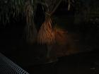 thumbs/IMG_0733.jpg