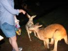 thumbs/IMG_0740.jpg