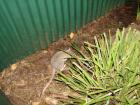thumbs/IMG_0750.jpg