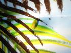 thumbs/IMG_0753.jpg
