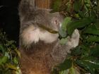 thumbs/IMG_0758.jpg