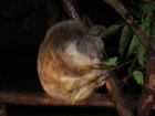thumbs/IMG_0762.jpg