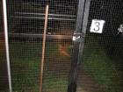 thumbs/IMG_0765.jpg