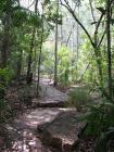 thumbs/IMG_2153.jpg