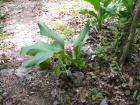 thumbs/IMG_2196.jpg