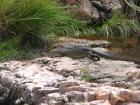 thumbs/IMG_2198.jpg