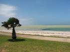 thumbs/IMG_2732.jpg