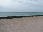 thumbs/IMG_2808.jpg