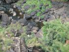 thumbs/IMG_0425.jpg