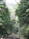 thumbs/IMG_0448.jpg