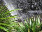 thumbs/IMG_0450.jpg