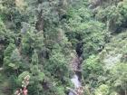 thumbs/IMG_0456.jpg
