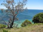 thumbs/IMG_1153.jpg