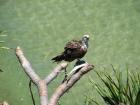 thumbs/IMG_1170.jpg