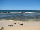 thumbs/IMG_1178.jpg