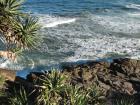 thumbs/IMG_1260.jpg