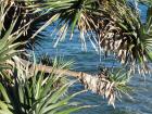 thumbs/IMG_1261.jpg