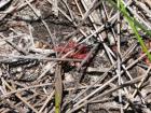 thumbs/IMG_1285.jpg