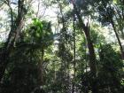 thumbs/IMG_1290.jpg