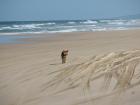 thumbs/IMG_1305.jpg