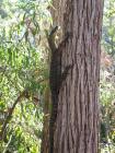 thumbs/IMG_1336.jpg