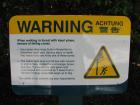 thumbs/IMG_1375.jpg