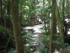 thumbs/IMG_1387.jpg