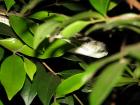 thumbs/IMG_1432.jpg