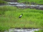 thumbs/IMG_2219.jpg