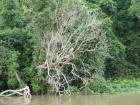 thumbs/IMG_2276.jpg