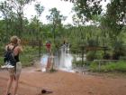 thumbs/IMG_2329.jpg