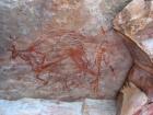 thumbs/IMG_2366.jpg