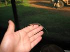 thumbs/IMG_2391.jpg