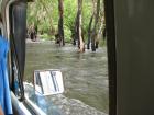 thumbs/IMG_2439.jpg