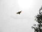thumbs/IMG_2445.jpg