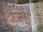 thumbs/IMG_2469.jpg