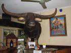 thumbs/IMG_2521.jpg