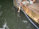 thumbs/IMG_2529.jpg