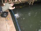 thumbs/IMG_2532.jpg