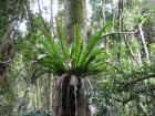 thumbs/IMG_0574.jpg